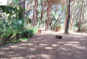 Foto 13