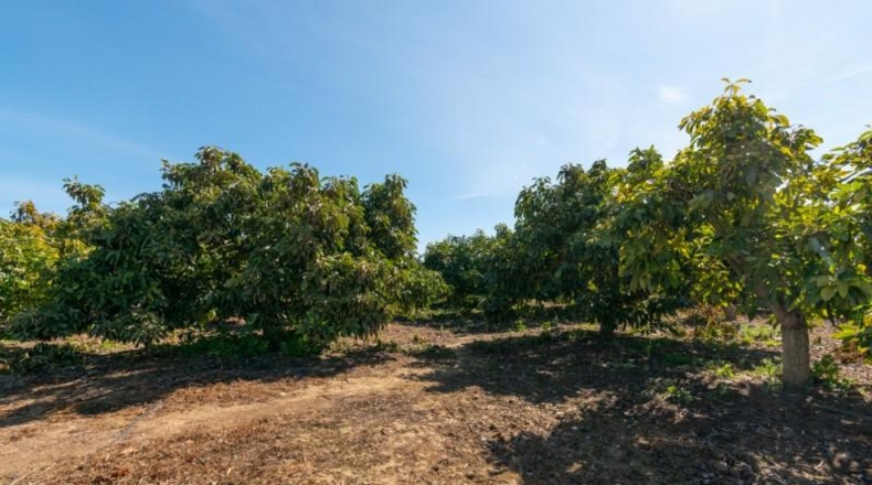 Málaga - Mijas - 4040m2