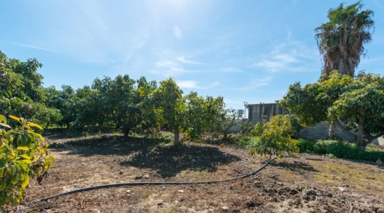 Málaga - Mijas - 4040m2