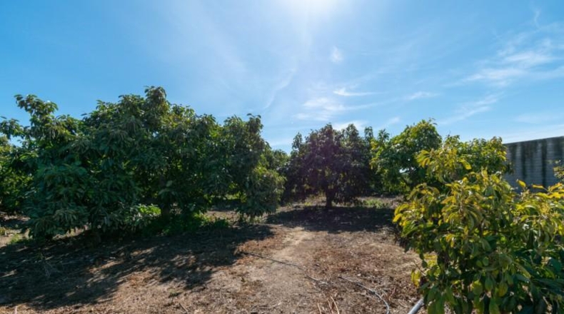 Málaga - Mijas - 4040m2