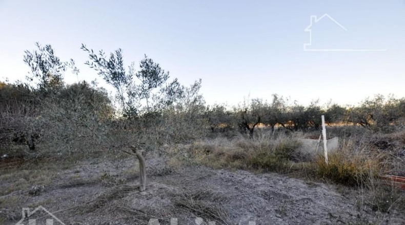 Valencia - Sagunto - 5497m2