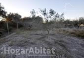 Detached villa with land for sale on España, Sagunto, ref: TR340630 photo