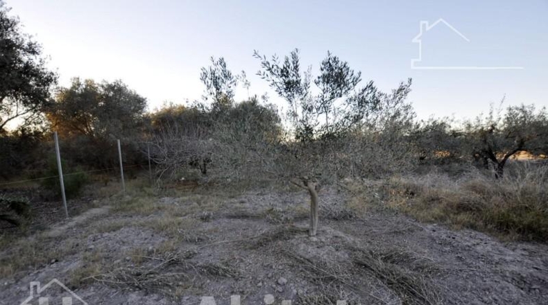 Valencia - Sagunto - 5497m2