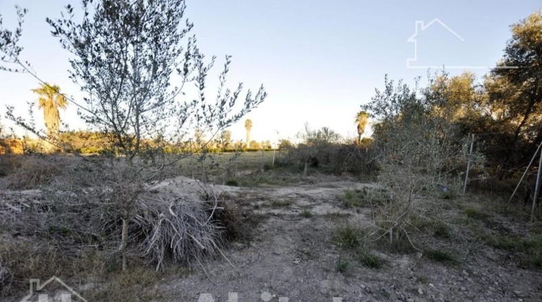 Valencia - Sagunto - 5497m2