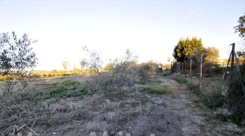 Valencia - Sagunto - 5497m2