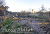Detached villa with land for sale on España, Sagunto, ref: TR340630 photo