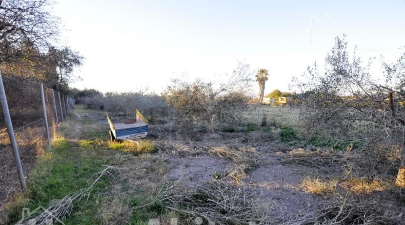 Valencia - Sagunto - 5497m2
