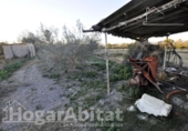 Detached villa with land for sale on España, Sagunto, ref: TR340630 photo
