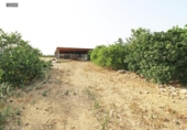 Country house with land for sale on España, Málaga, ref: TR165806 photo