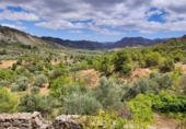 Xalet independent amb terreny en venda a la España, Beseit, ref.: TR157112 foto