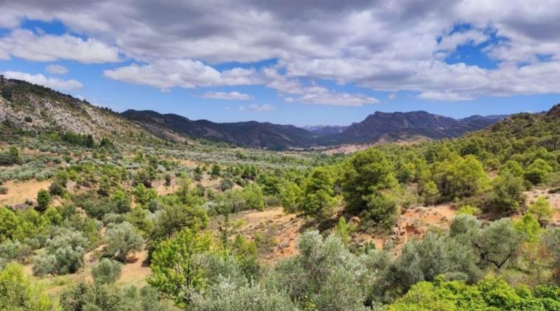 Teruel - Beceite - 35100m2