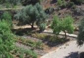 Xalet independent amb terreny en venda a la España, Beseit, ref.: TR157112 foto