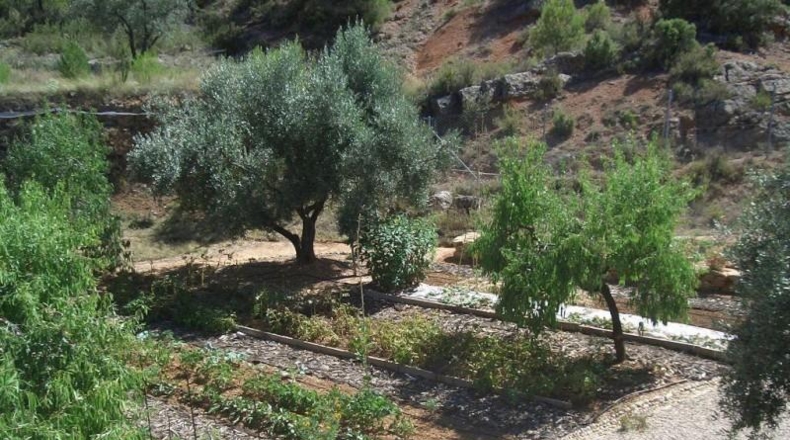 Teruel - Beceite - 35100m2