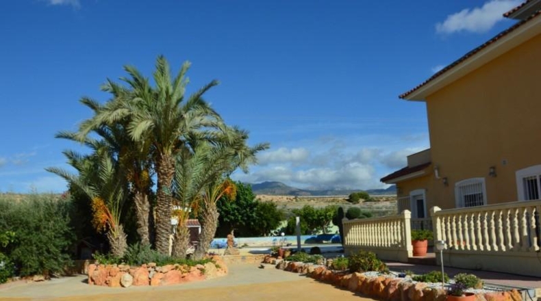 Murcia - Totana - 5347m2