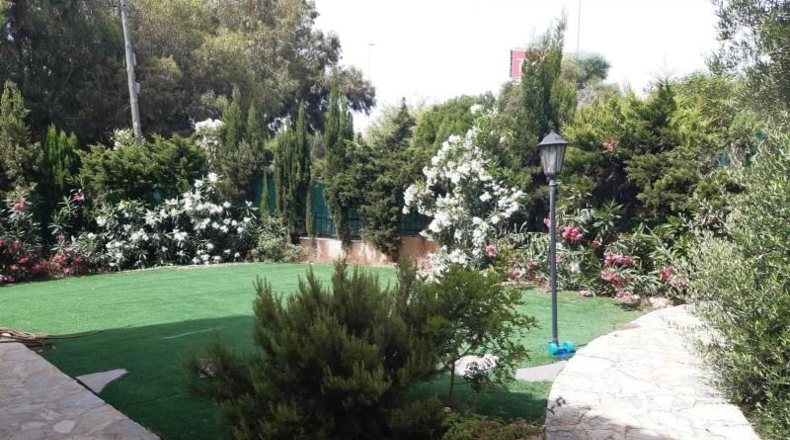 Alicante - Orihuela - 600m2