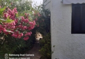 Chalet independiente con terreno en venta en la España, Orihuela, ref: TR112553 foto