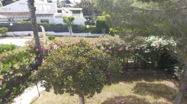 Alicante - Orihuela - 600m2