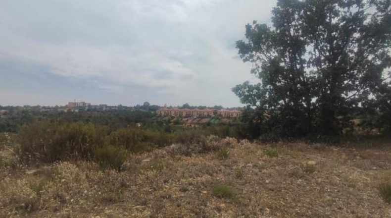 Leon - Garrafe de Torío - 30315m2