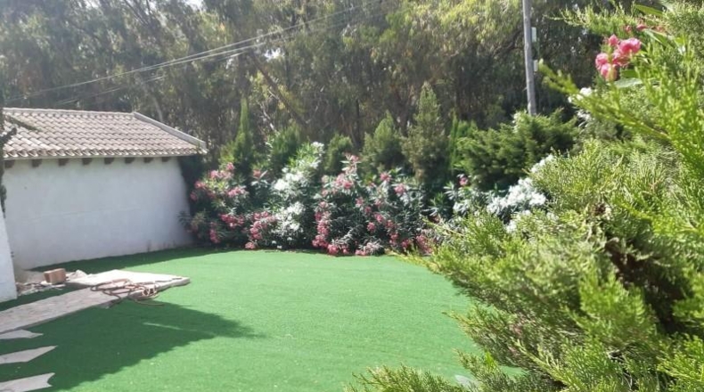Alicante - Orihuela - 600m2