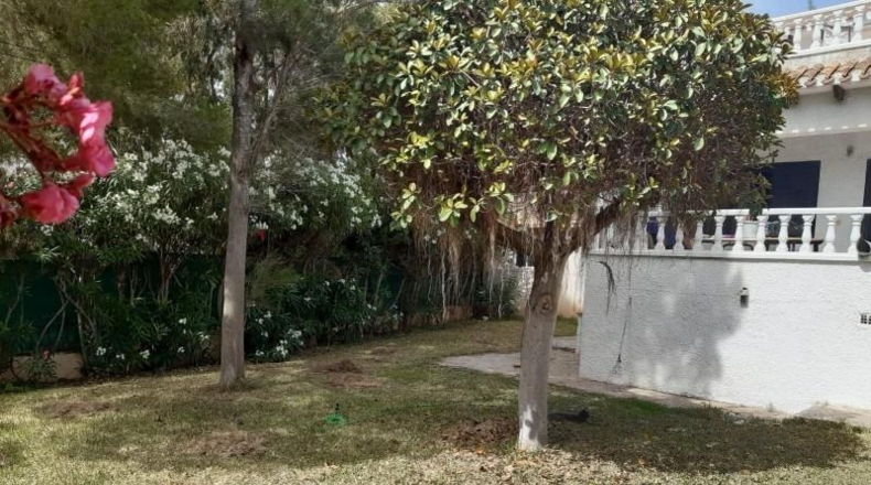 Alicante - Orihuela - 600m2