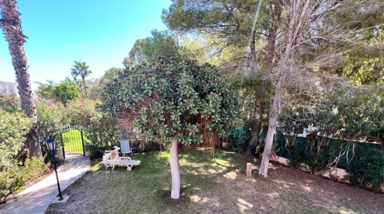 Alicante - Orihuela - 600m2