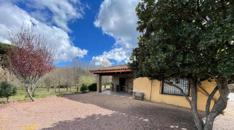 Cáceres - Jaraíz de la Vera - 40829m2
