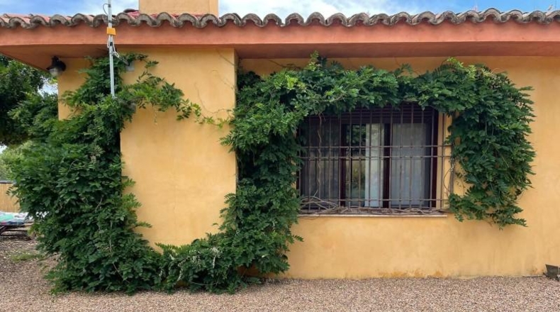 Cáceres - Jaraíz de la Vera - 40829m2