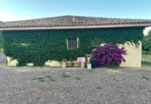 Casa de campo con terreno en venta en la España, Jaraíz de la Vera, ref: TR309911 foto