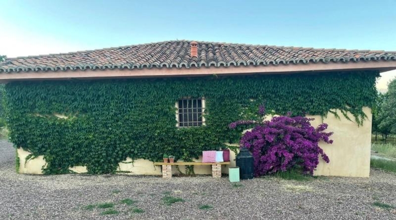 Cáceres - Jaraíz de la Vera - 40829m2