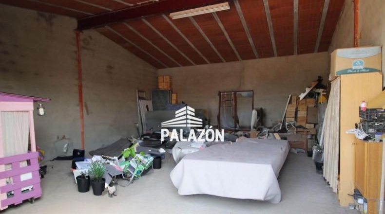 Alicante - Crevillente - 21493m2
