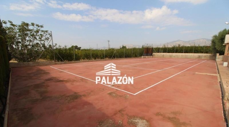 Alicante - Crevillente - 21493m2
