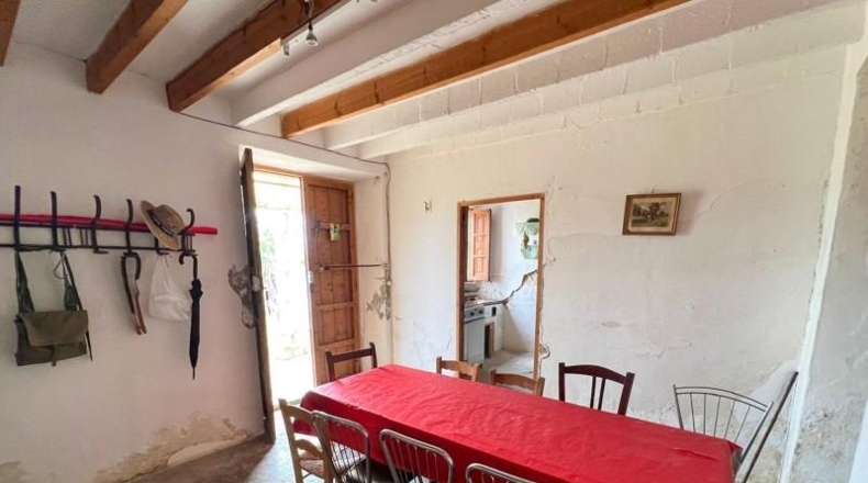 Balearic Islands - Selva - 8340m2