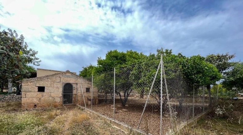 Balearic Islands - Selva - 8340m2