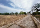 Chalet independiente con terreno en venta en la España, Selva, ref: TR218785 foto