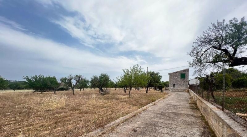 Balearic Islands - Selva - 8340m2
