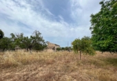 Chalet independiente con terreno en venta en la España, Selva, ref: TR218785 foto