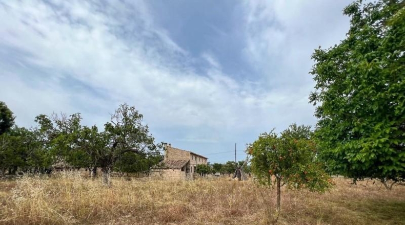Balearic Islands - Selva - 8340m2