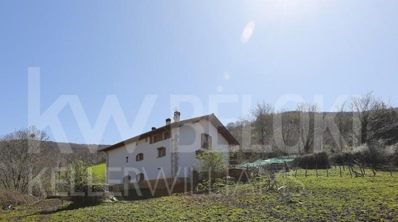 Navarre - Leiza - 29000m2