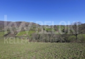 Finca rústica en venta en la España, Leiza, ref: TR287560 foto