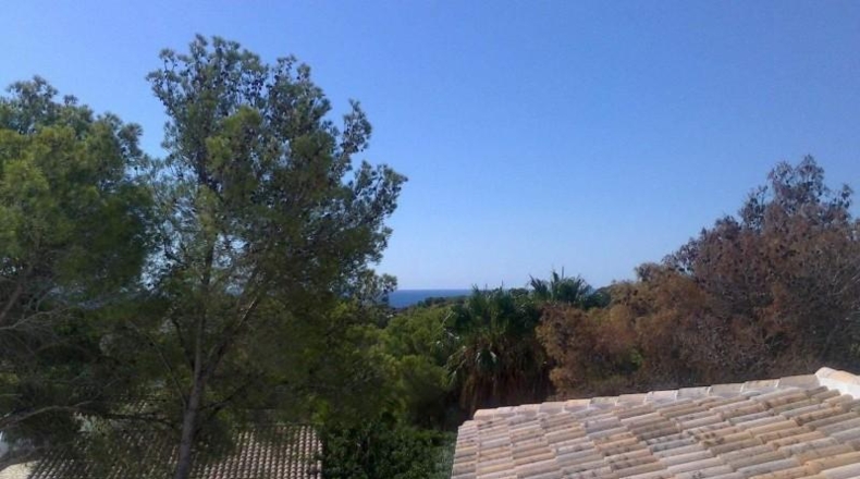 Alicante - Moraira - 1863m2