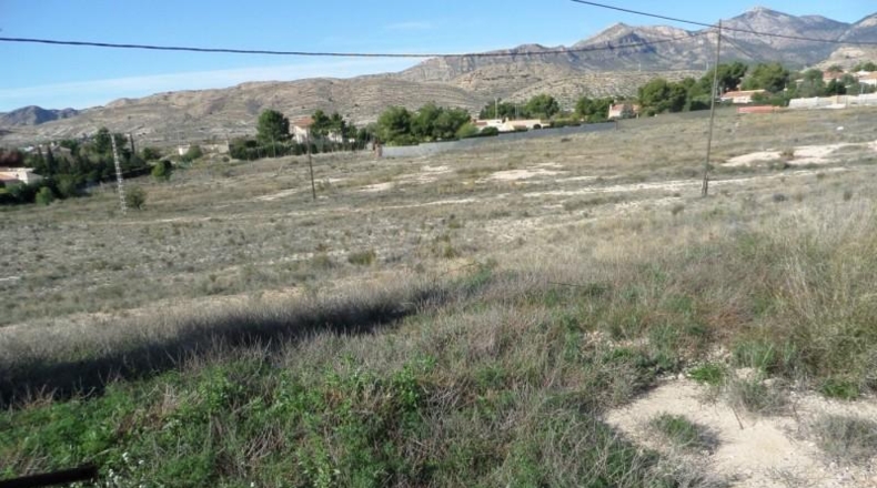 Alicante - San Vicente del Raspeig - 15000m2