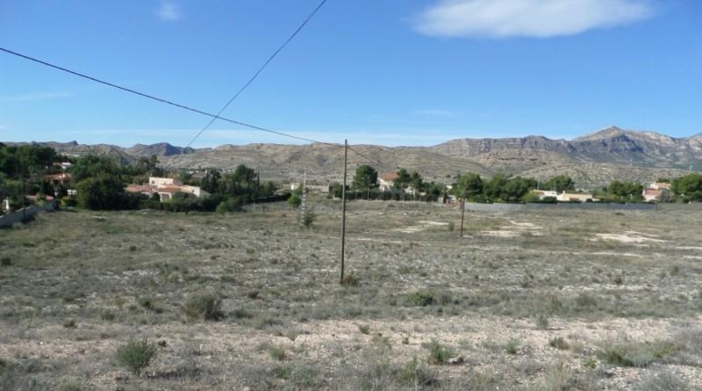 Alicante - San Vicente del Raspeig - 15000m2