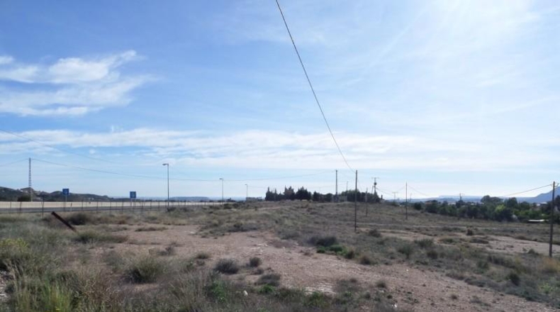 Alicante - San Vicente del Raspeig - 15000m2