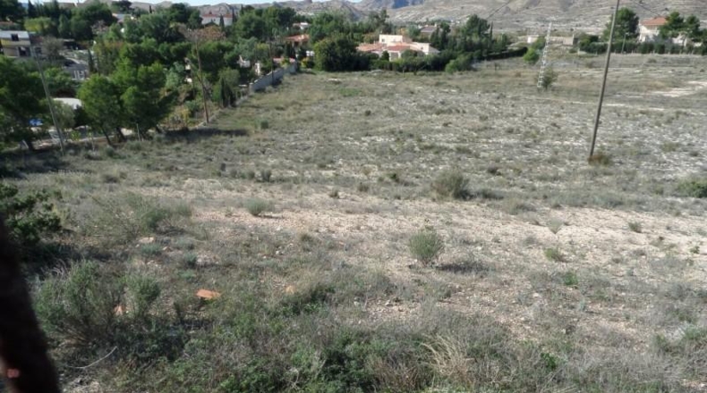 Alicante - San Vicente del Raspeig - 15000m2