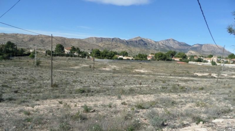 Alicante - San Vicente del Raspeig - 15000m2