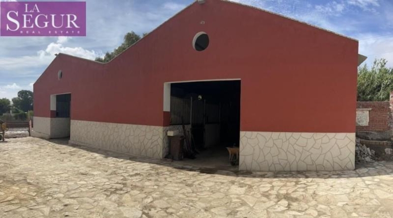 Cádiz - Vejer de la Frontera - 3300m2