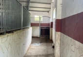 Casa de camp amb terreny en venda a la España, Vejer de la Frontera, ref.: TR149446 foto