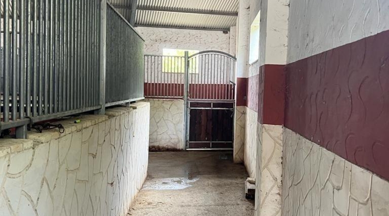 Cádiz - Vejer de la Frontera - 3300m2
