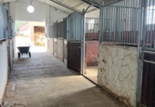 Casa de camp amb terreny en venda a la España, Vejer de la Frontera, ref.: TR149446 foto
