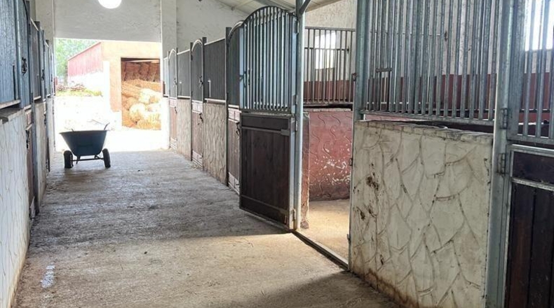 Cádiz - Vejer de la Frontera - 3300m2